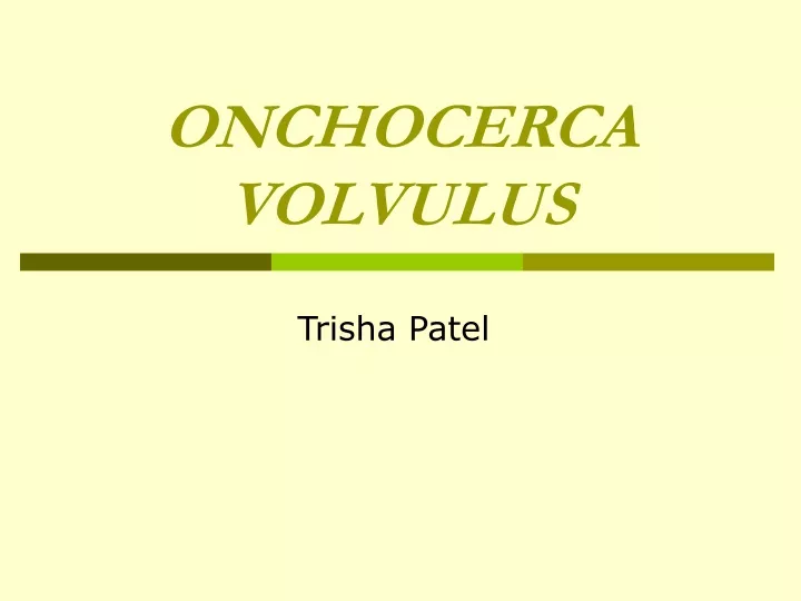 onchocerca volvulus