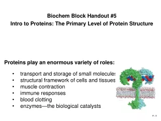 Proteins play an enormous variety of roles:  transport and storage of small molecules