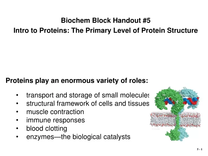 biochem block handout 5 intro to proteins