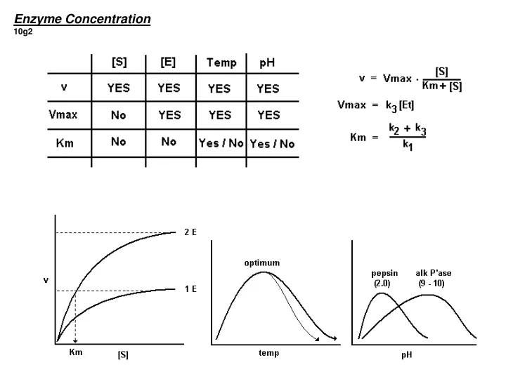 enzyme concentration 10g2