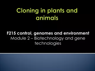 Cloning in plants and animals