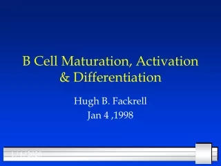 B Cell Maturation, Activation &amp; Differentiation