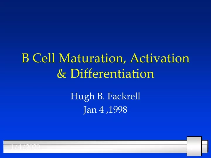 b cell maturation activation differentiation