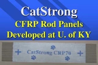 CatStrong CFRP Rod Panels Developed at  U. of KY