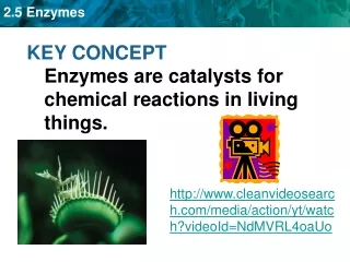 KEY CONCEPT Enzymes are catalysts for chemical reactions in living things.