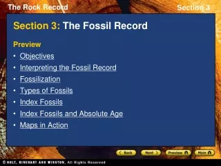Section 3:  The Fossil Record