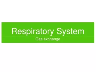 Respiratory System