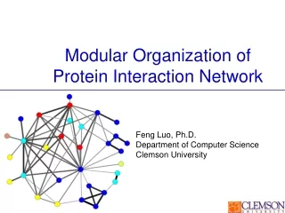 Modular Organization of Protein Interaction Network