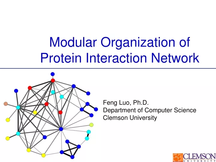 modular organization of protein interaction network