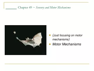 ____  Chapter 49  ~ Sensory and Motor Mechanisms