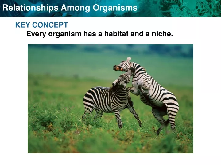 key concept every organism has a habitat