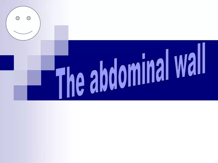 the abdominal wall