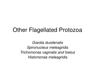 Other Flagellated Protozoa