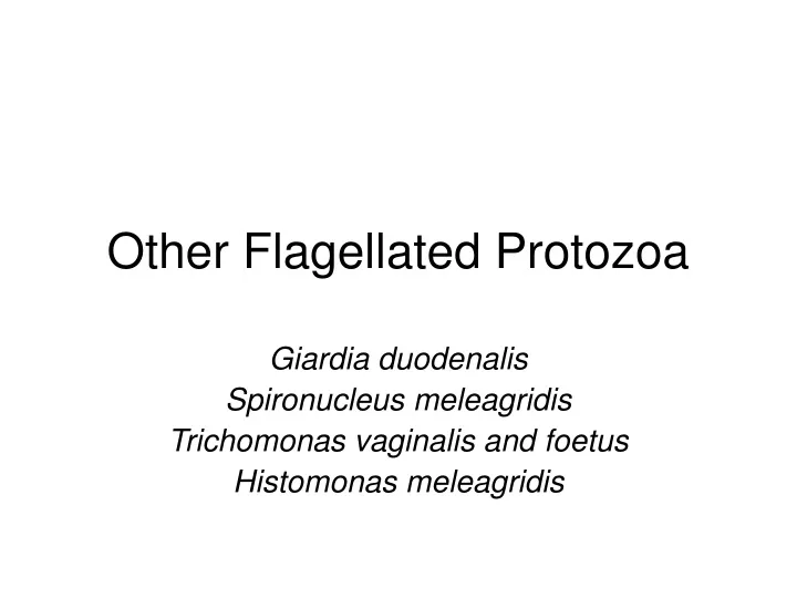 other flagellated protozoa