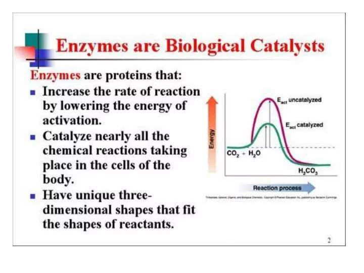 enzymes