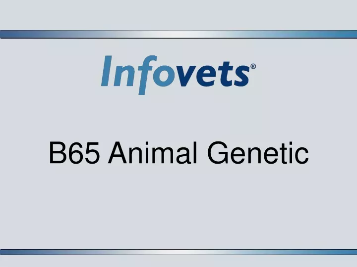 b65 animal genetic