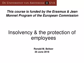 This course is funded by the Erasmus &amp; Jean Monnet Program of the European Commission