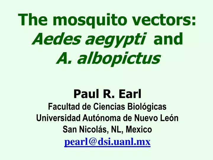 the mosquito vectors aedes aegypti