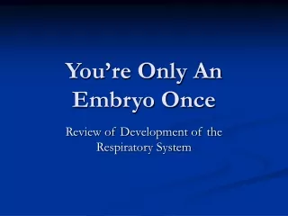 You’re Only An Embryo Once
