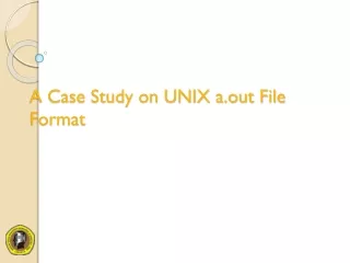 A Case Study on UNIX a.out File Format