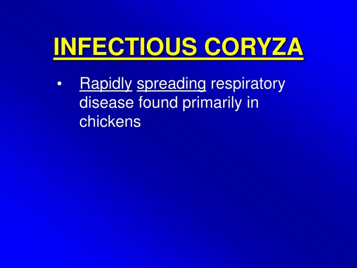 PPT - INFECTIOUS CORYZA PowerPoint Presentation, Free Download - ID:9500367