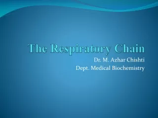 The Respiratory Chain