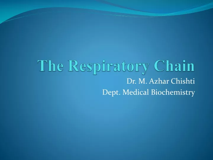 the respiratory chain