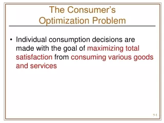 The Consumer’s       Optimization Problem