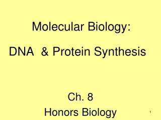 Molecular Biology:                DNA	&amp; Protein Synthesis