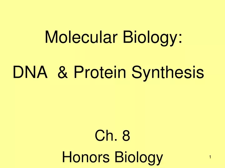 molecular biology dna protein synthesis
