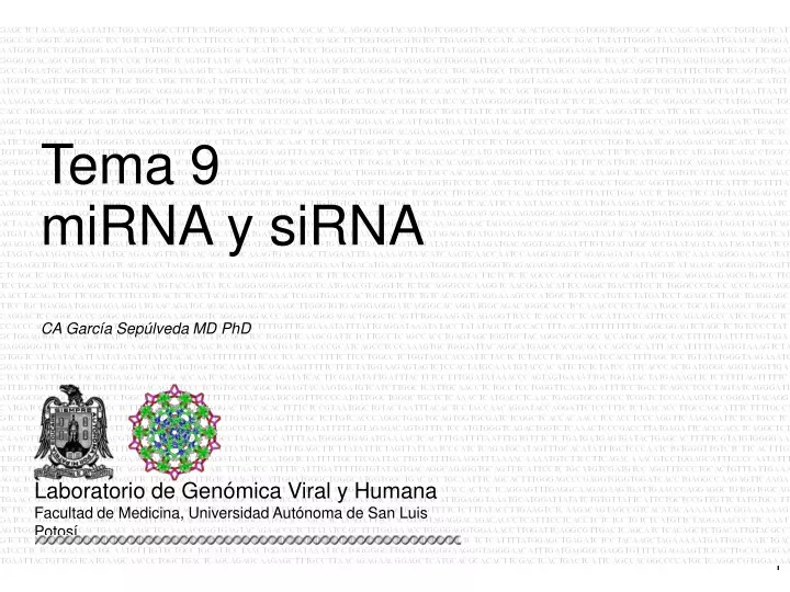 tema 9 mirna y sirna