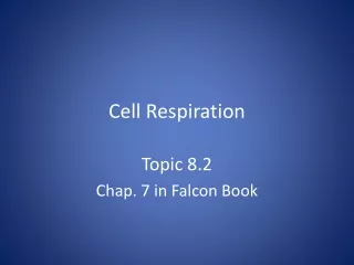 Cell Respiration