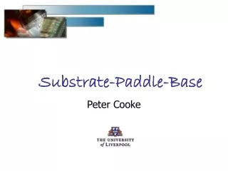 Substrate-Paddle-Base