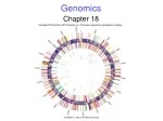 Mapping Genomes: Genetic and Physical Maps Unveiled - slide 1