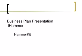 Business Plan Presentation  iHammer