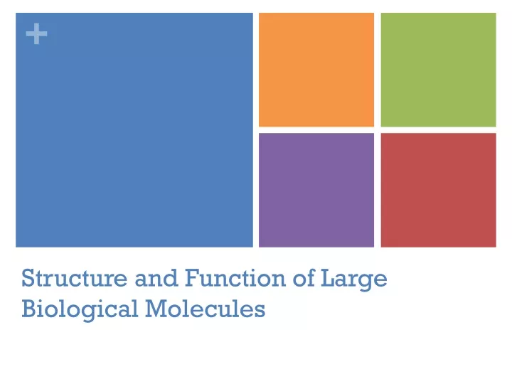 structure and function of large biological molecules