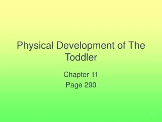 Physical Development of The Toddler