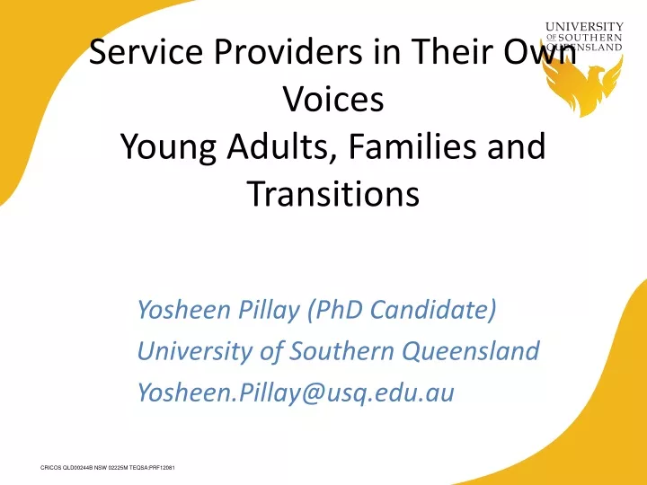 service providers in their own voices young adults families and transitions