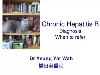 Chronic Hepatitis B Diagnosis  When to refer
