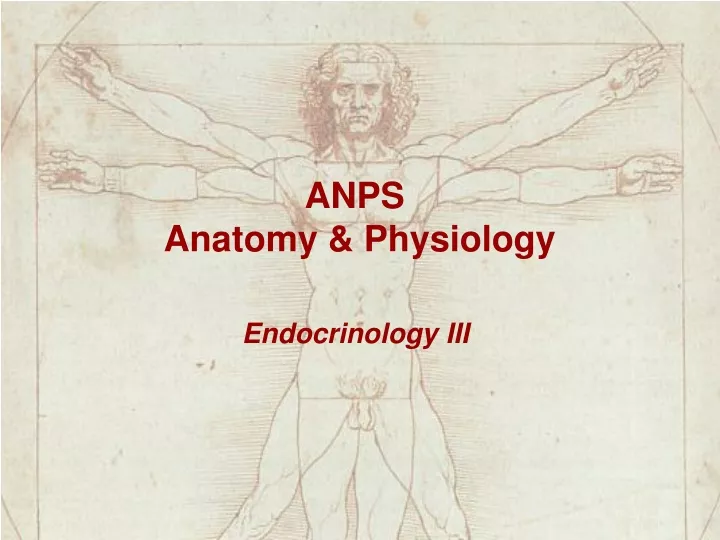 anps anatomy physiology
