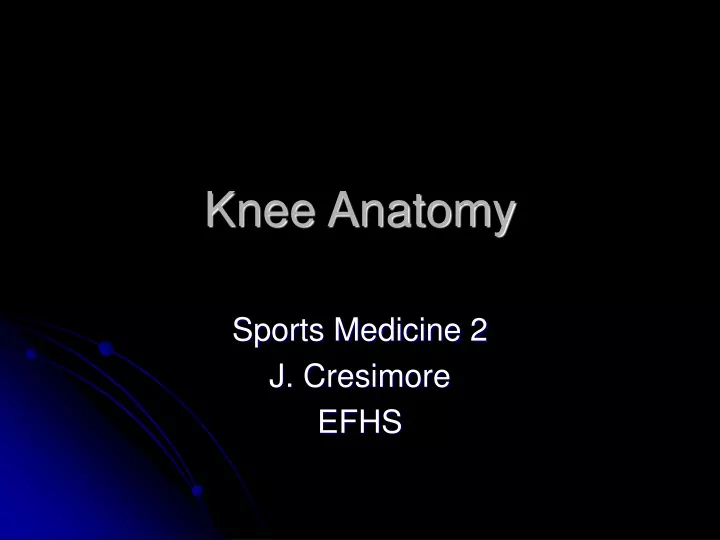 knee anatomy