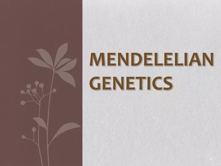 mendelelian genetics