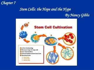 Stem Cells: the Hope and the Hype