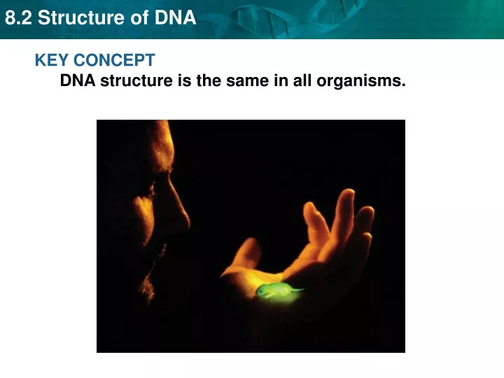 key concept dna structure is the same