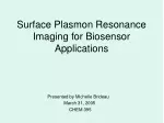 Surface Plasmon Resonance Imaging for Biosensor Applications - slide 1