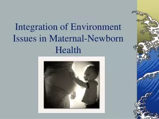 Integration of Environment Issues in Maternal-Newborn Health