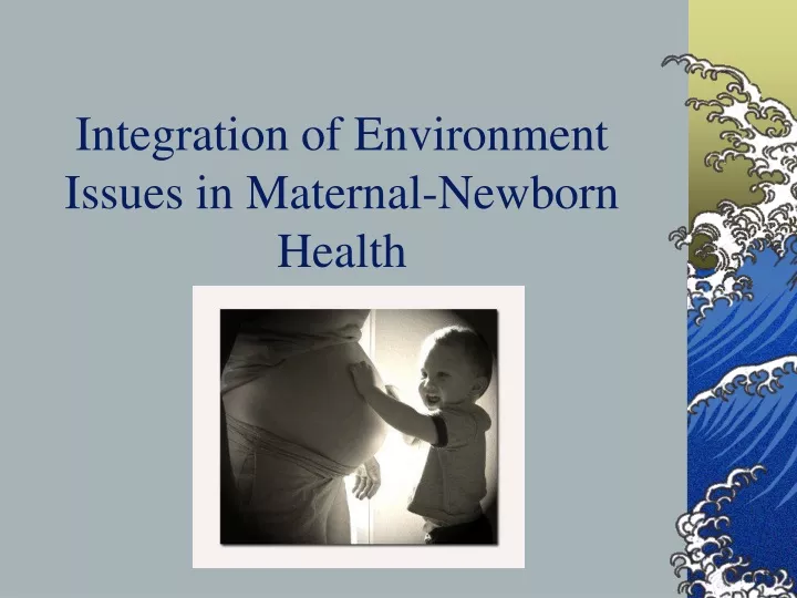 integration of environment issues in maternal newborn health