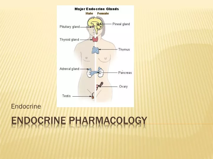 endocrine