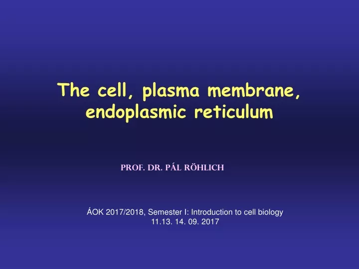 the cell plasma membrane endoplasmic reticulum