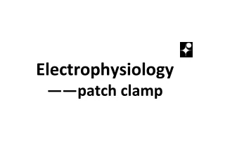 Electrophysiology ——patch clamp